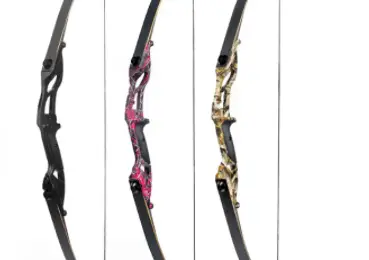 Best Recurve Bows