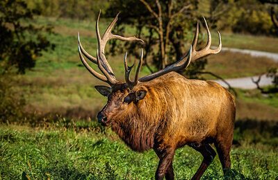best beginner hunting tips