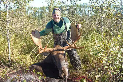 best moose hunting tips for beginners