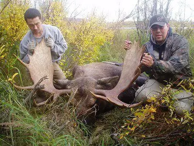 best moose hunting tips