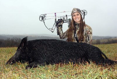 best pig hunting tips
