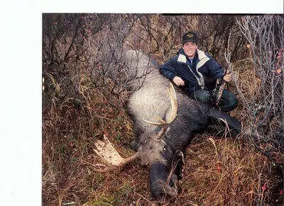 moose hunting