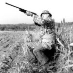 dove hunting tips