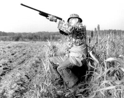 dove hunting tips