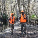 squirrel hunting tips for beginners