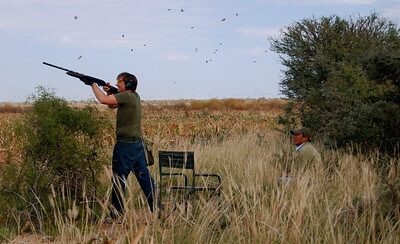 tips for hunting doves