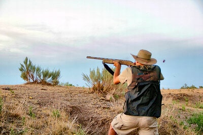 35 Best Dove Hunting Tips