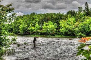 Best Fly Fishing Ideas