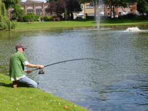 Fishing A Pond