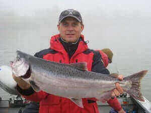 Fishing For Shad