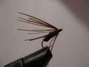 Fly Fishing Nymph Ideas