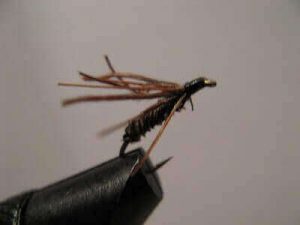 Fly Fishing Nymph Tips