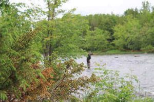 Fly Fishing Tips And Ideas