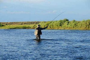 Fly Fishing Tips And Tricks