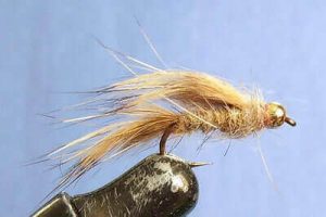 Fly Fishing With Nymphs Tips