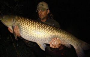 How To Catch A Grass Carp In A Pond