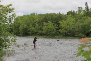 Ideas For Fly Fishing