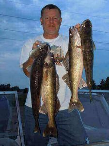 Ideas For Walleye Fishing