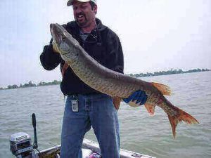 Muskie Fishing For Beginners