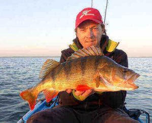 Perch Fishing Ideas