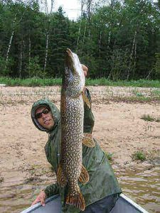 Pike Fishing For Beginners