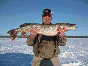 Sauger Fishing For Beginners