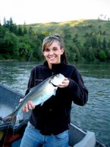Shad Fishing Tips
