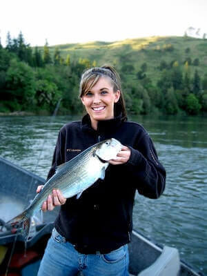 Shad Fishing Tips