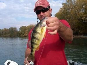 Tips For Perch Fishing