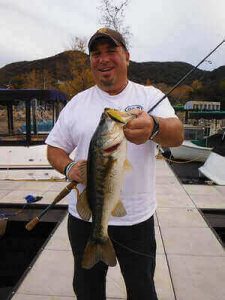 Tips For Shad Fishing