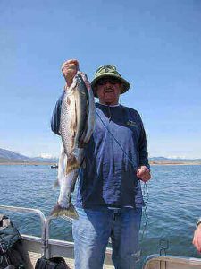 Trout Fishing Ideas