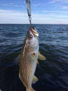 Weakfish Fishing Tips And Tricks