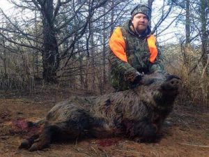 How To Hunt Wild Hogs