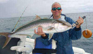 Amberjack Fishing For Beginners