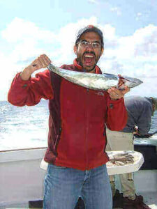 Bonito Fishing Ideas