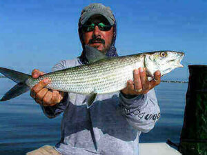 Fishing Bonefish Tips