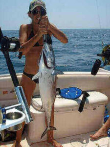 Fishing Bonito