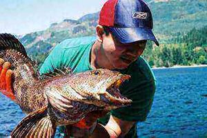 Fishing Lingcod Tricks