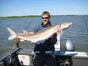 Fishing Sturgeon