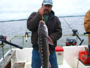 Fishing Sturgeon Tricks