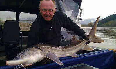 How To Catch Sturgeon