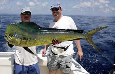 How To Catch Mahi Mahi