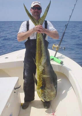 How To Catch Mahi Mahi
