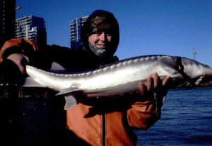 Sturgeon Fishing For Beginners