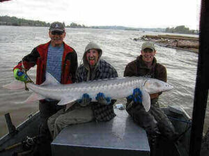 Sturgeon Fishing Ideas