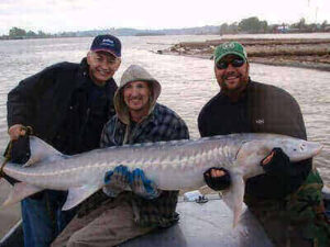 Sturgeon Fishing Tips