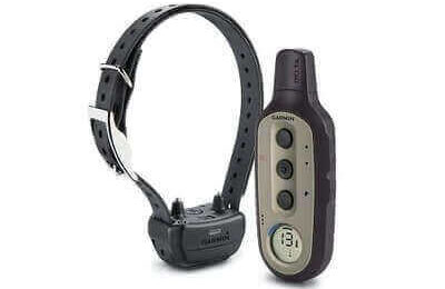Best Dog Training Collars