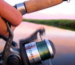 Best Fishing Reels
