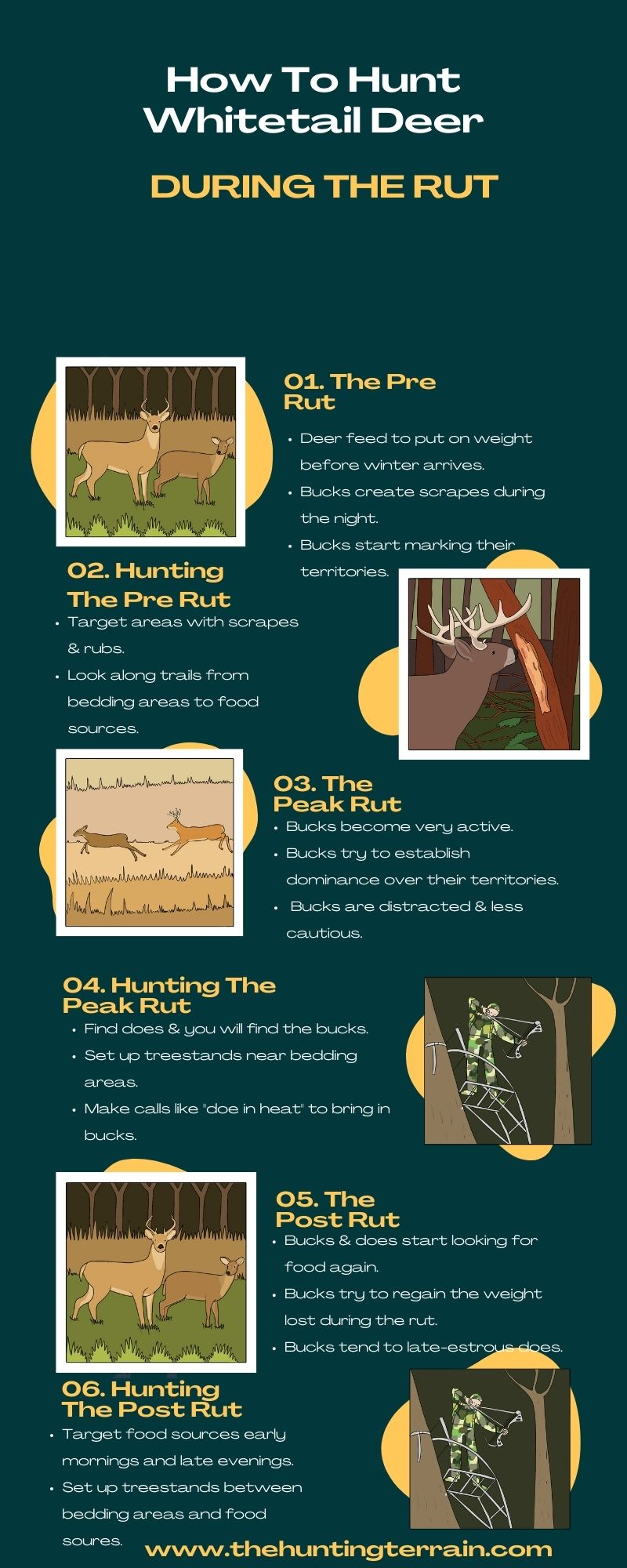 How To Hunt Whitetail Deer During The Rut