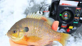 Best Ice Fishing Fish Finder